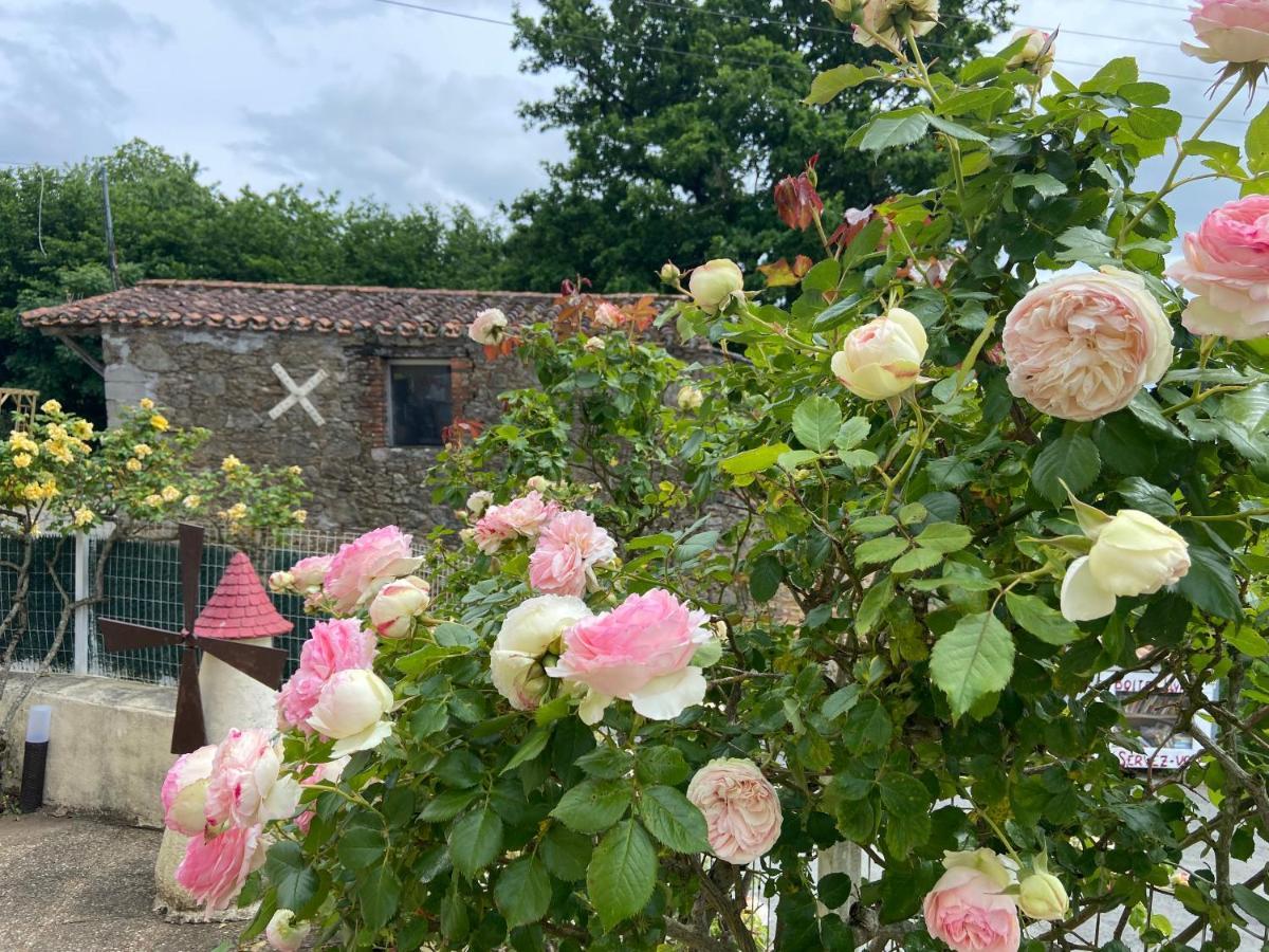 Le Petit Moulin Hotel Pouzauges Eksteriør billede
