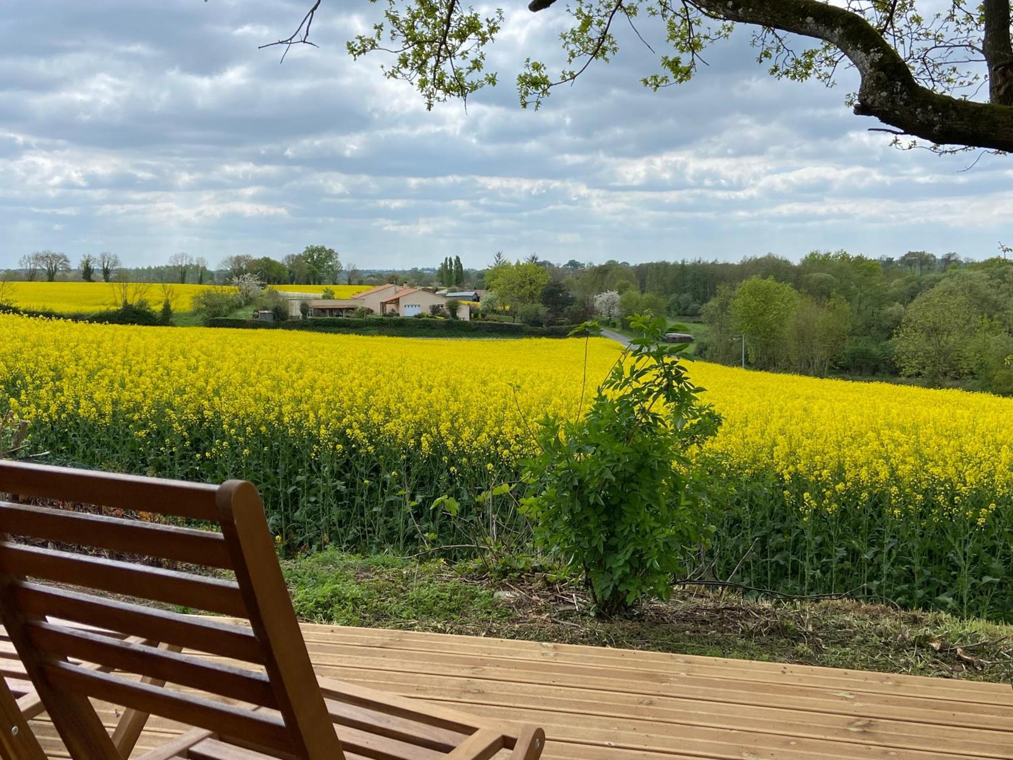 Le Petit Moulin Hotel Pouzauges Eksteriør billede